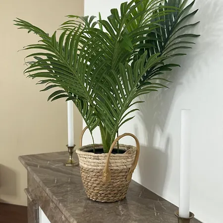 L'etoile Du Langevin 450m Avenue Champagne Épernay