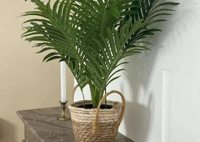 L'etoile Du Langevin 450m Avenue Champagne Épernay