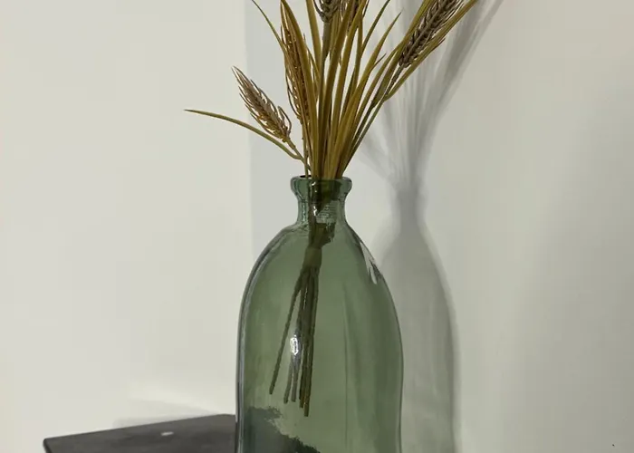 L'etoile Du Langevin 450m Avenue Champagne